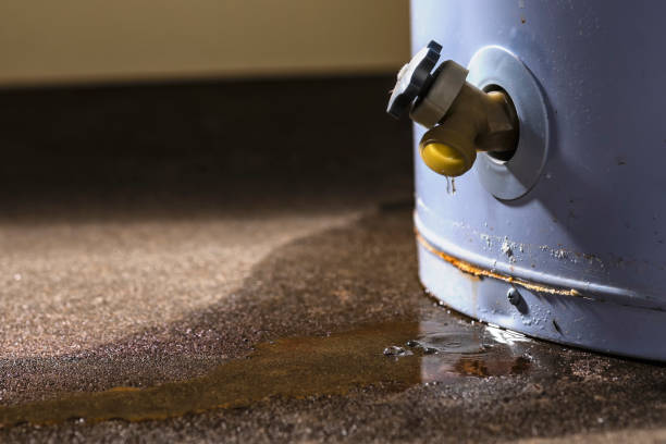 Best Mold removal after water damage  in Mechanicsville, VA