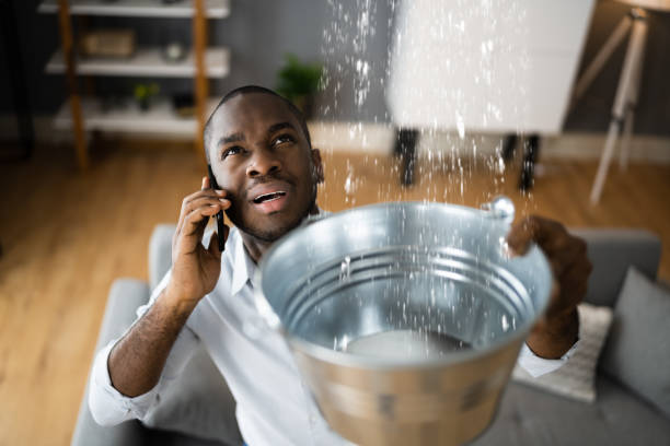 Best Ceiling water damage repair  in Mechanicsville, VA
