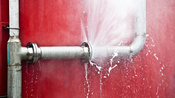 Best Flood damage cleanup  in Mechanicsville, VA
